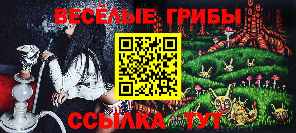 Татарск  где можно купить наркотик  Псилоцибиновые грибы ЛСД  Вход с VPN  Галлюциногенные грибы мицелий 