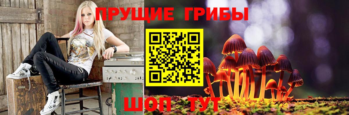 Галлюциногенные грибы Psilocybine cubensis Татарск